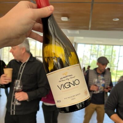 VIGNO carignan
