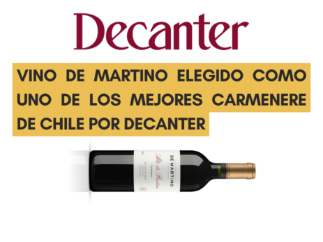 Vino de Martino elegido como uno de los mejores carmenere de Chile