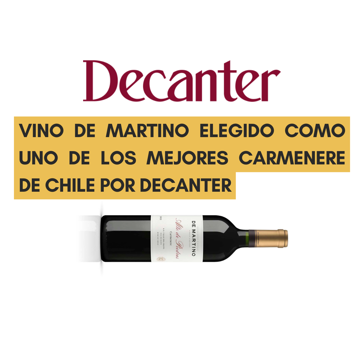 Vino de Martino elegido como uno de los mejores carmenere de Chile