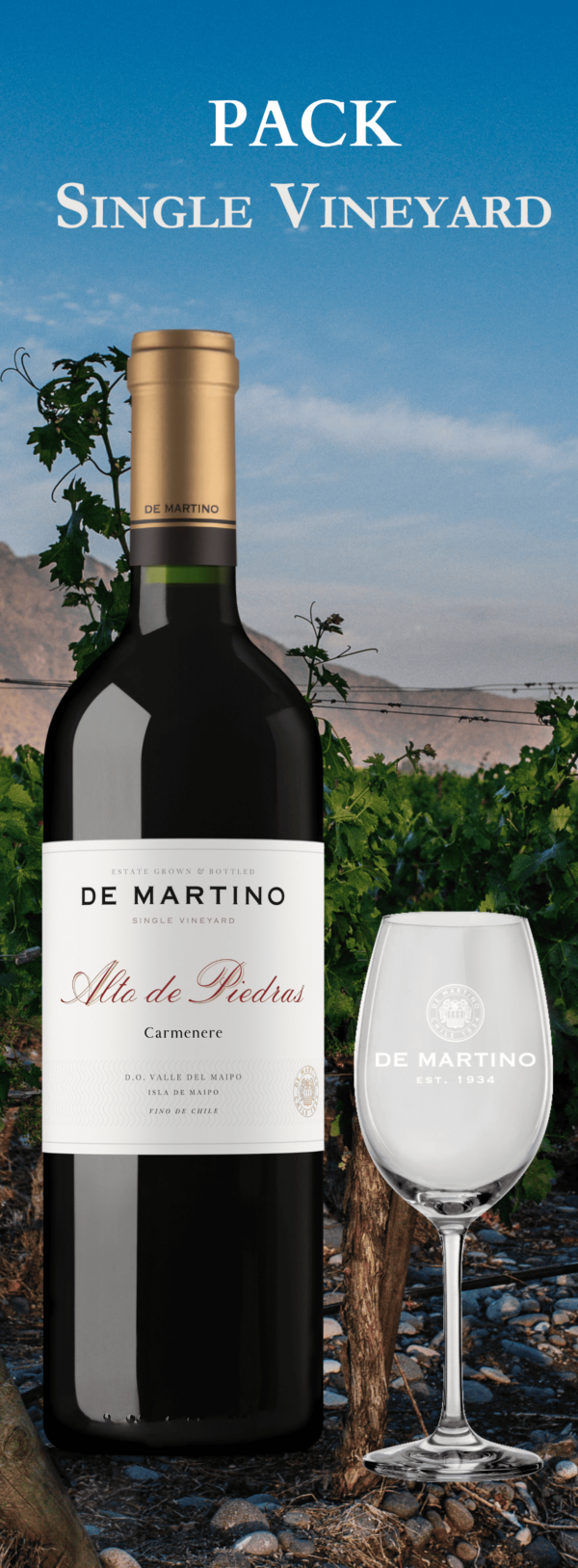Alto de Piedras + Copa Carmenere premium y regalo