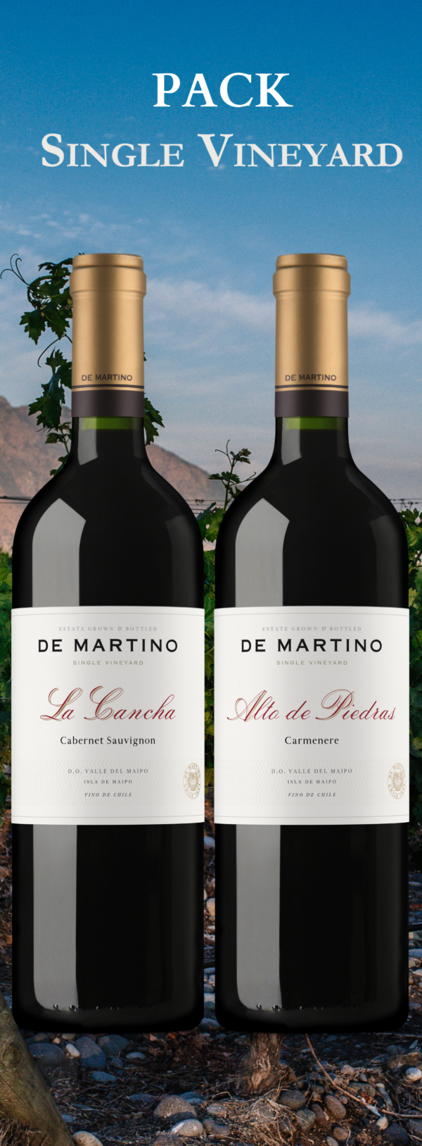 Vinos tintos Premium Descuento de Fiestas Patrias