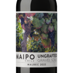 Ungrafted Malbec