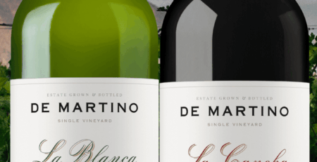 Oferta De Martino Single Vineyard con La Cancha Cabernet Sauvignon y La Blanca Semillón