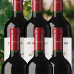 Legado Gran Reserva Carmenere Pack