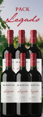 Legado Gran Reserva Carmenere Pack