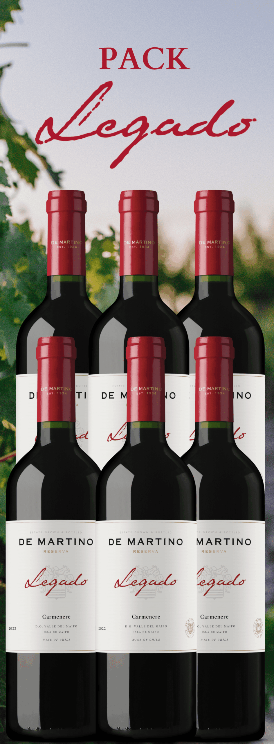 Legado Gran Reserva Carmenere Pack