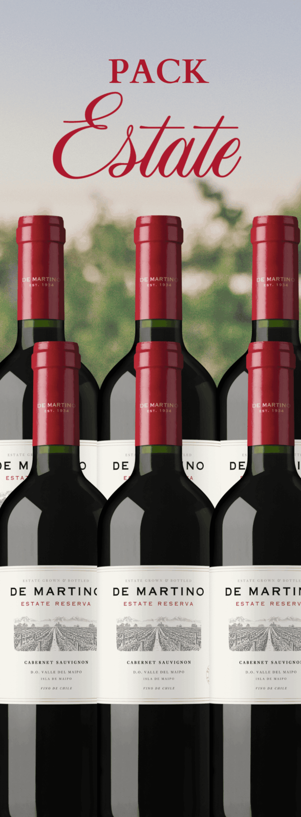 Packs Web (13) Pack Reserva Cabernet Sauvignon
