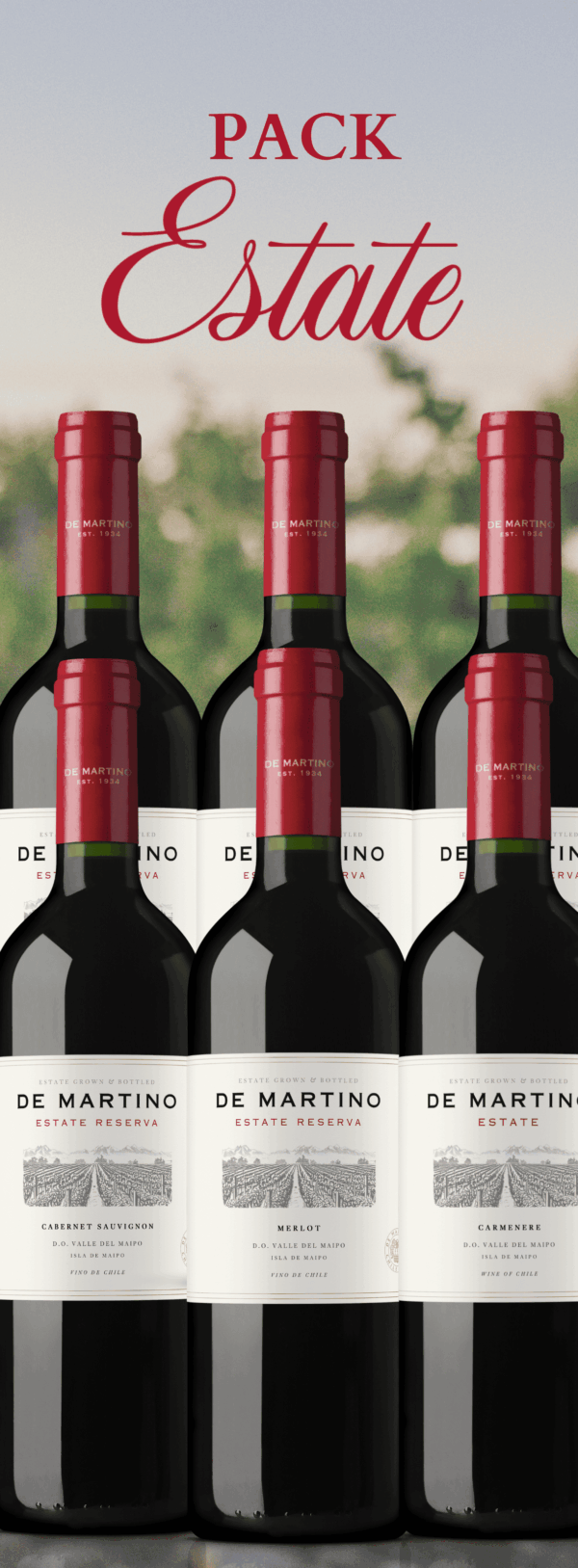 Pack 6 Vinos Reserva para Fiestas Patrias pack-6-vinos-reserva-fiestas-patrias-de-martino.jpg