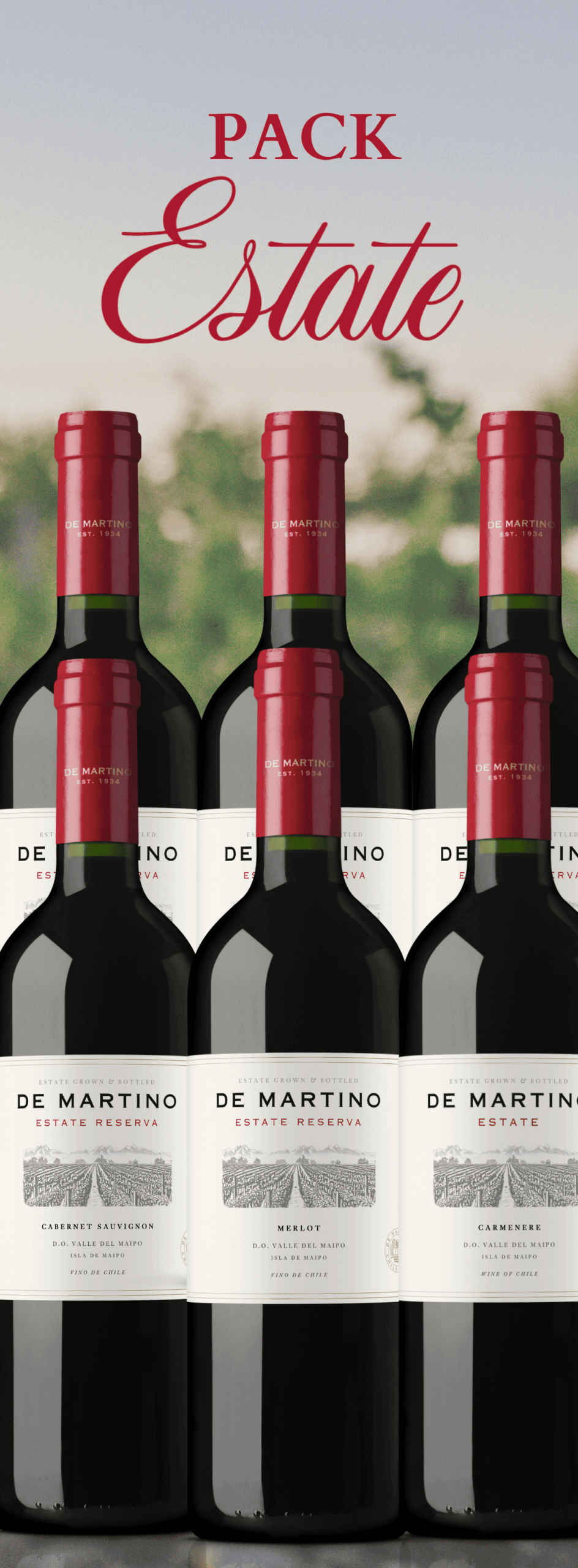 pack-6-vinos-reserva-fiestas-patrias-de-martino.jpg