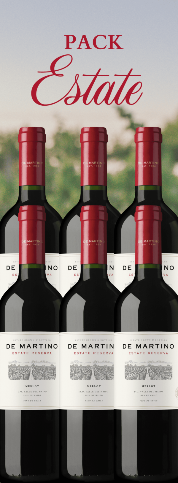 Pack Merlot Merlot