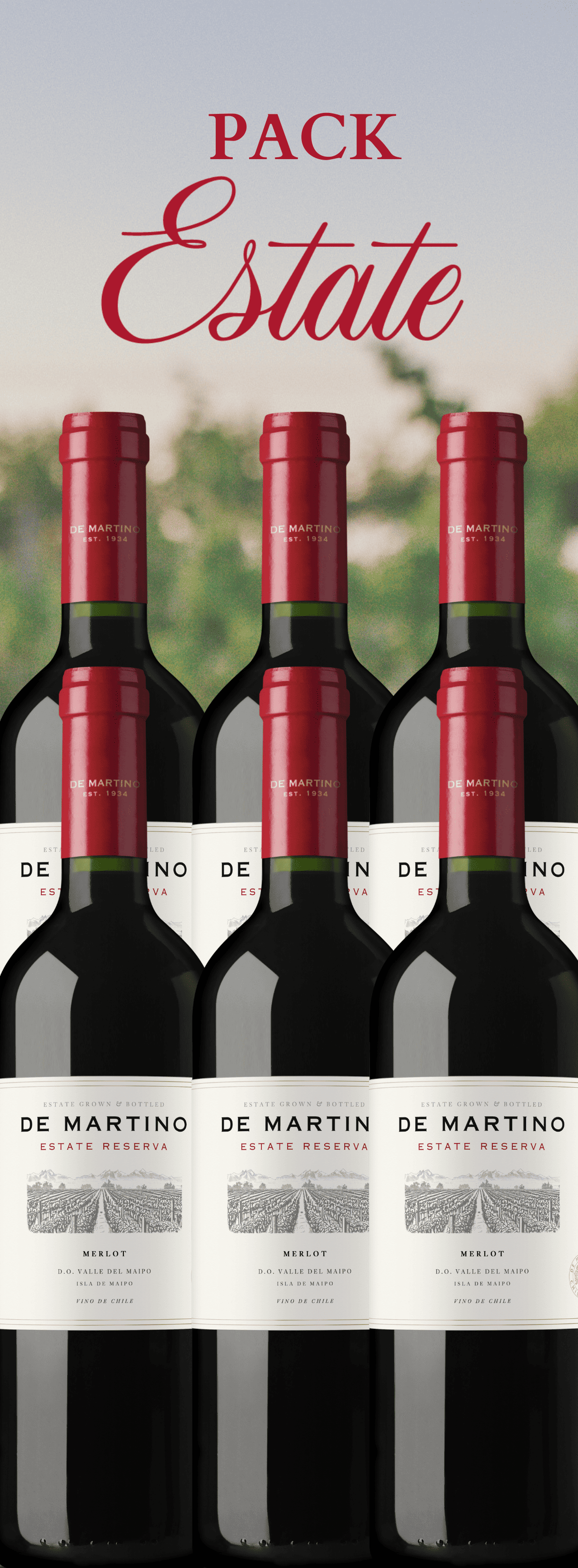 Pack Merlot