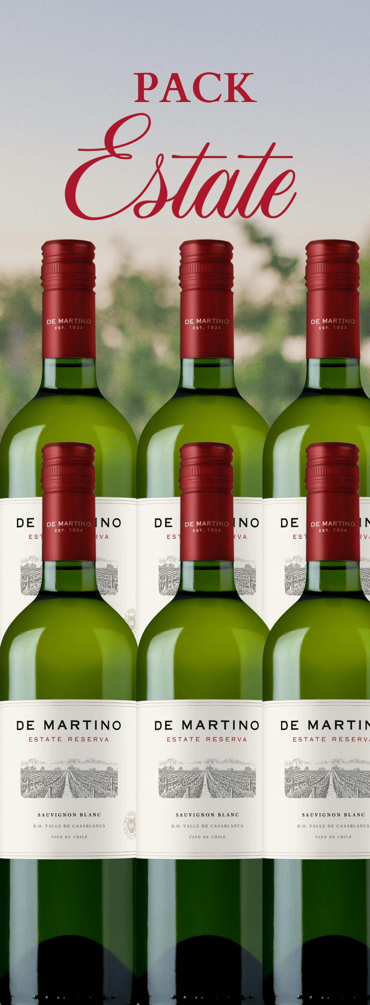 paCK saUVIGNON BLanc