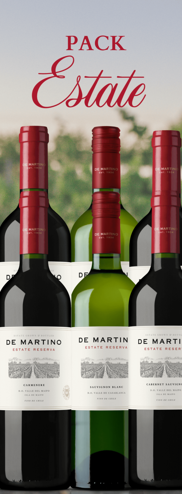 Tintos y Blancos Compra 6 botellas de vino Reserva para celebrar este 18 de septiembre.