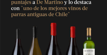 James Suckling 2026 destaca a De Martino: Las Olvidadas 2024 obtiene 97 puntos y es reconocida como uno de los mejores vinos de parras antiguas de Chile.