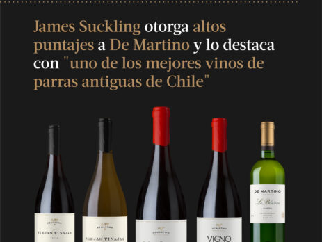 James Suckling 2026 destaca a De Martino: Las Olvidadas 2024 obtiene 97 puntos y es reconocida como uno de los mejores vinos de parras antiguas de Chile.