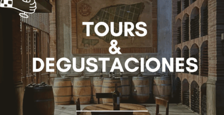 Enoturismo en Isla de Maipo en Viña De Martino