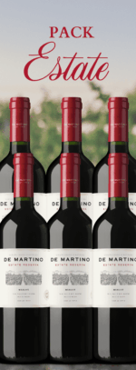 Estate Reserva Merlot | 6 botellas para Fiestas Patrias