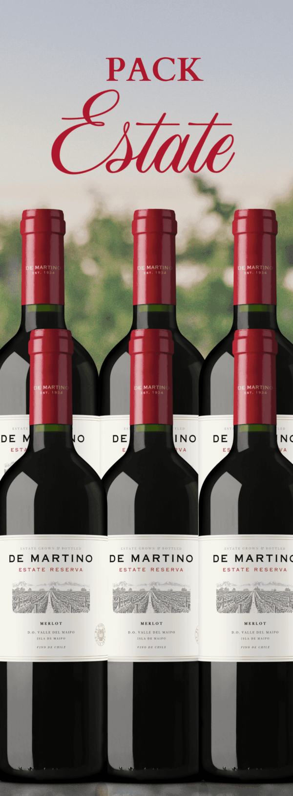 Estate Reserva Merlot | 6 botellas para Fiestas Patrias