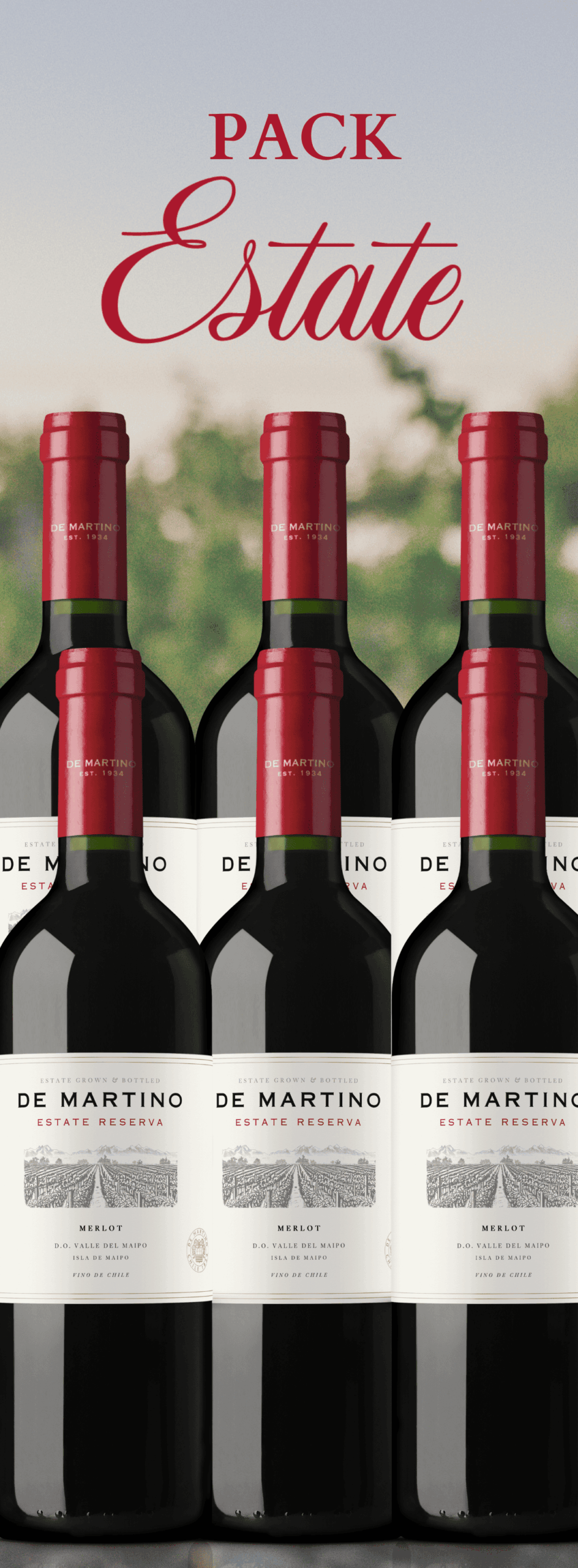 Estate Reserva Merlot | 6 botellas para Fiestas Patrias